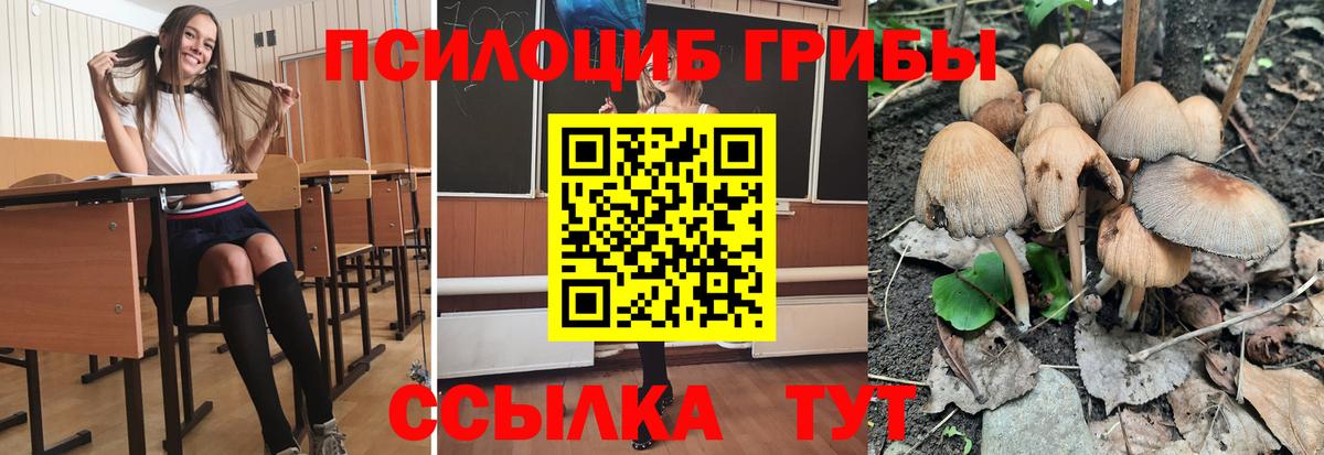 Галлюциногенные грибы Magic Shrooms Кинель